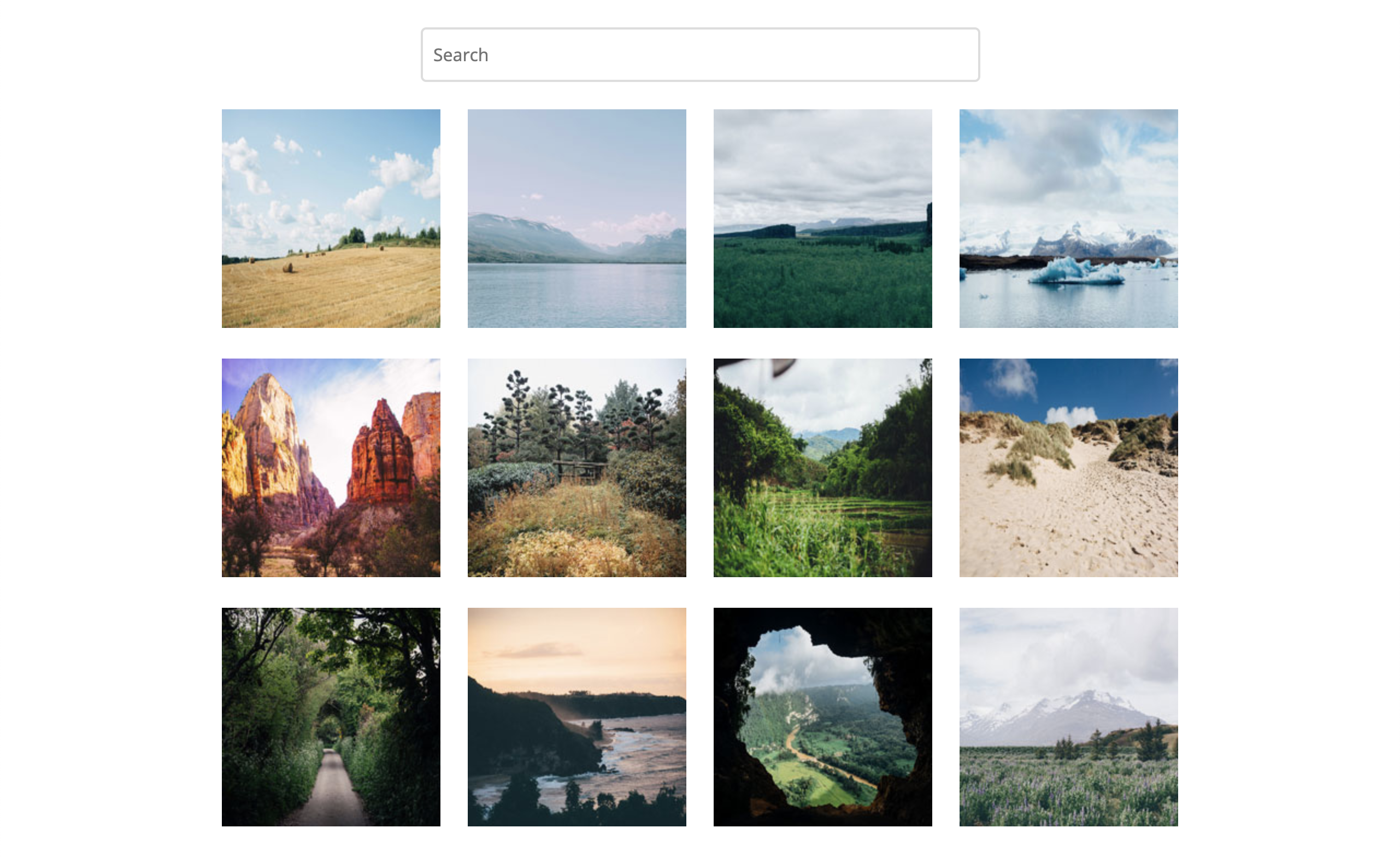 photo gallery