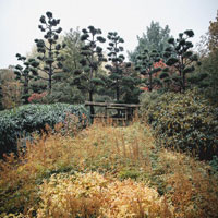 image of fall
