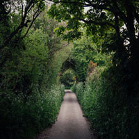 image of a countryside lane